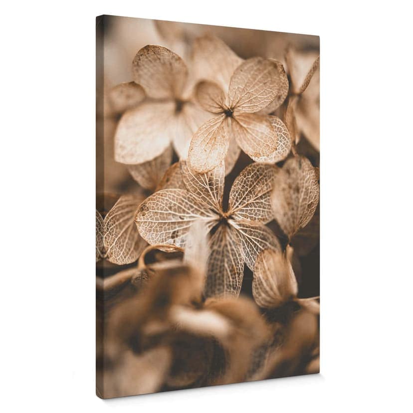 Stampa su tela Annie - Fiori delicati