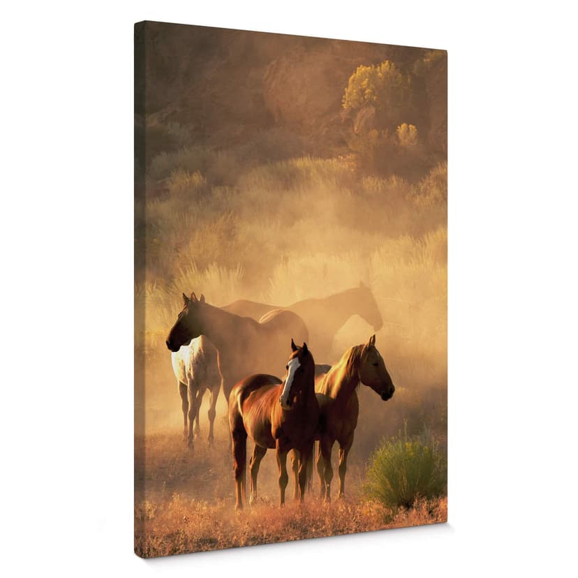 Stampa su tela - Power of Horses