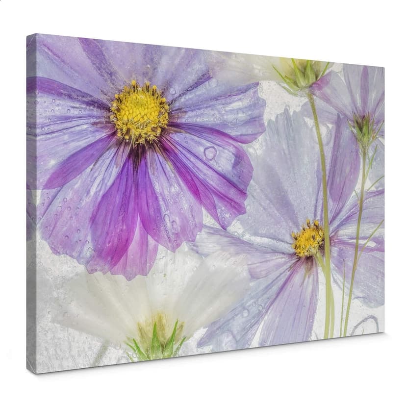 Stampa su tela Disher - Frozen Flowers