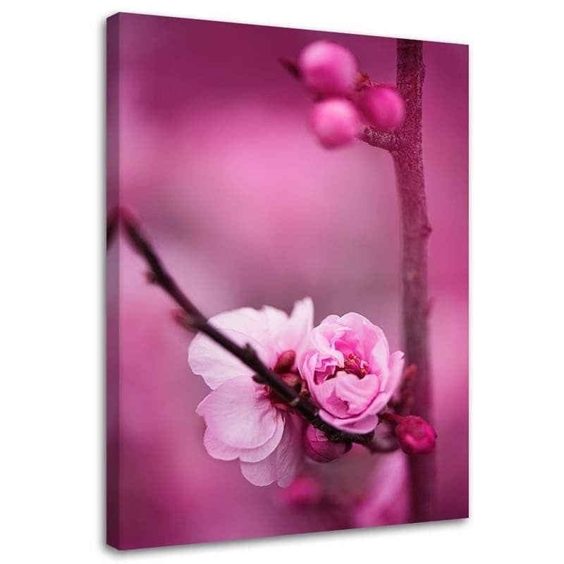 Stampe su tela, Piante fiorite rosa