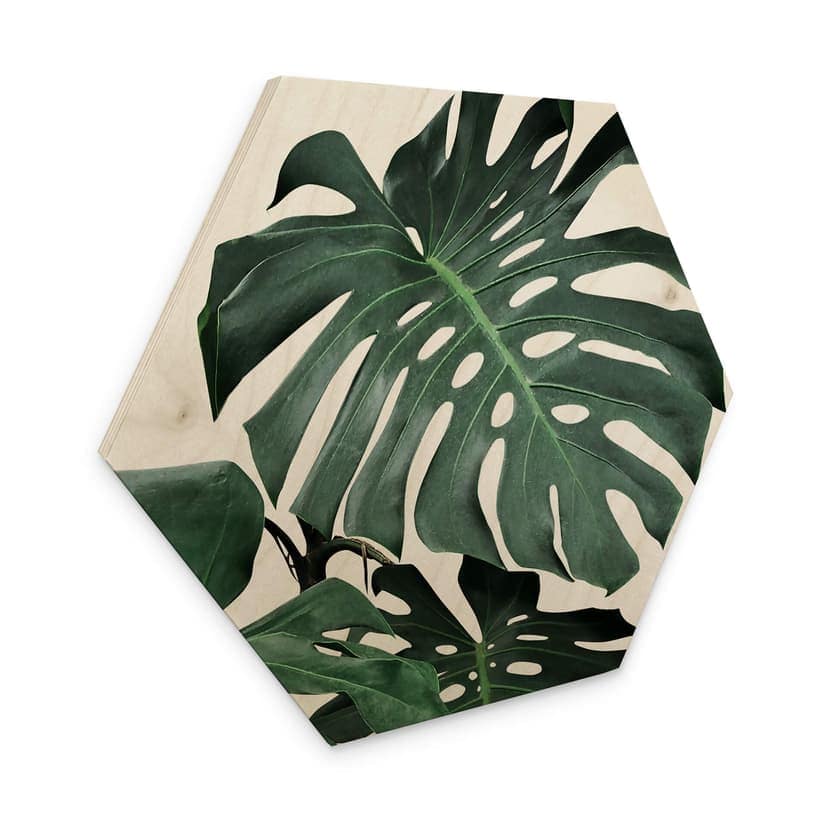 Esagono in legno Sisi & Seb - Monstera