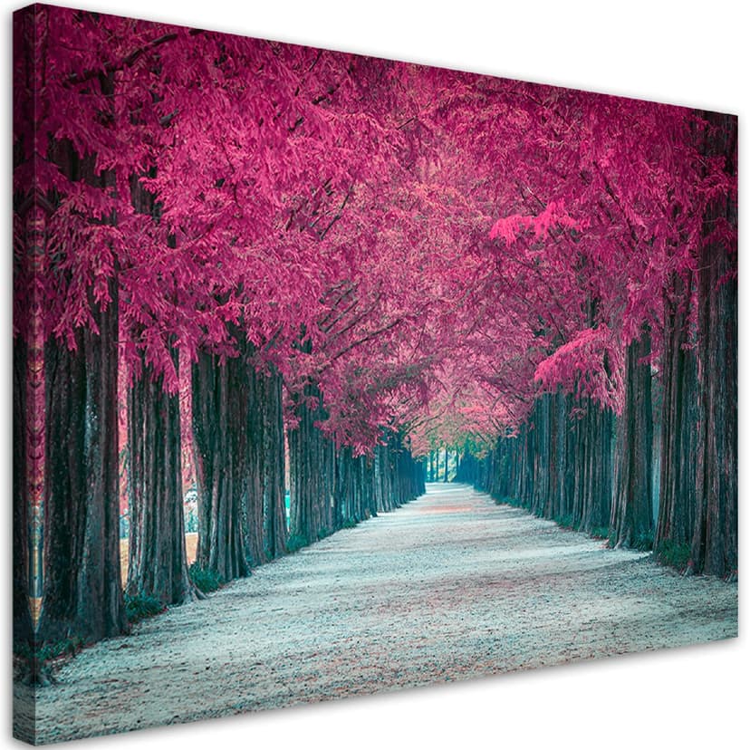 Stampe su tela, viale di alberi rosa