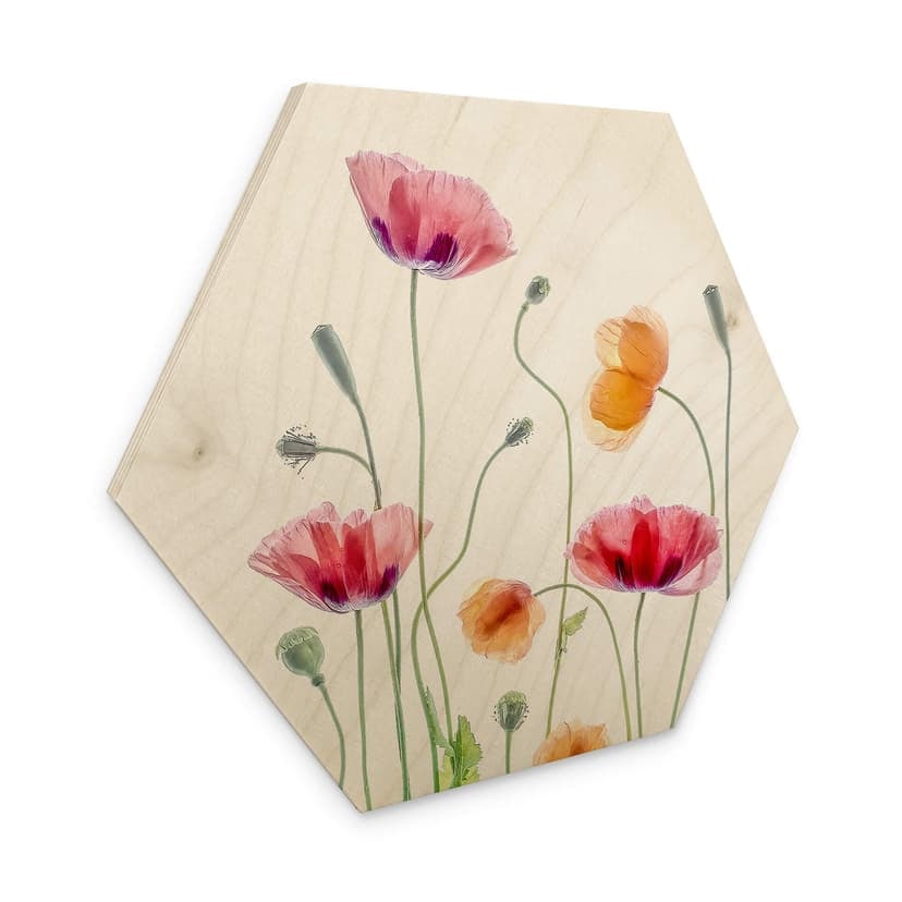 Esagono in legno Disher - Colourful Poppies