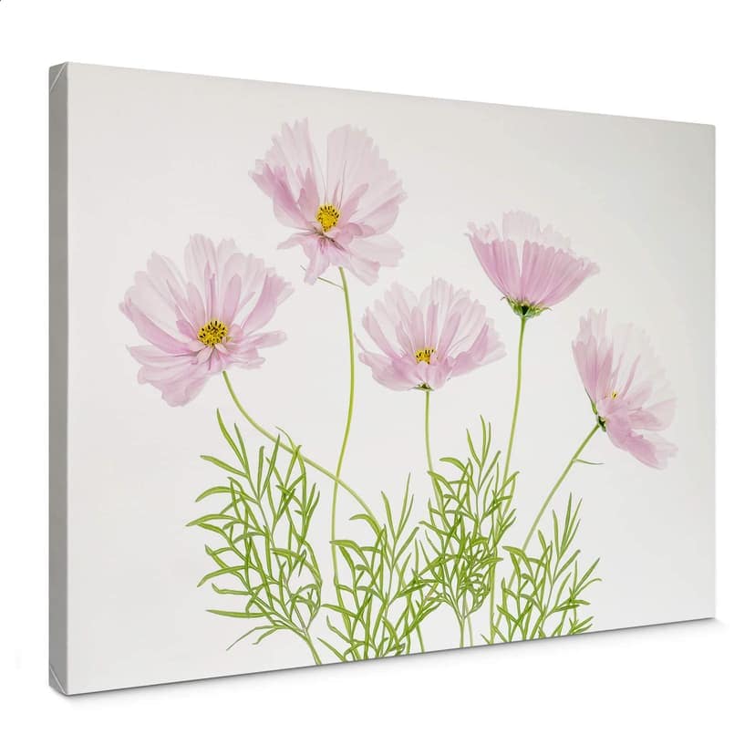 Stampa su tela Disher - Fiori