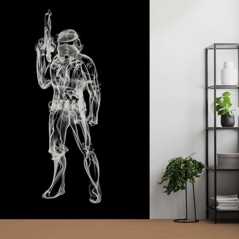 Fotomurale Mielu - Stormtrooper
