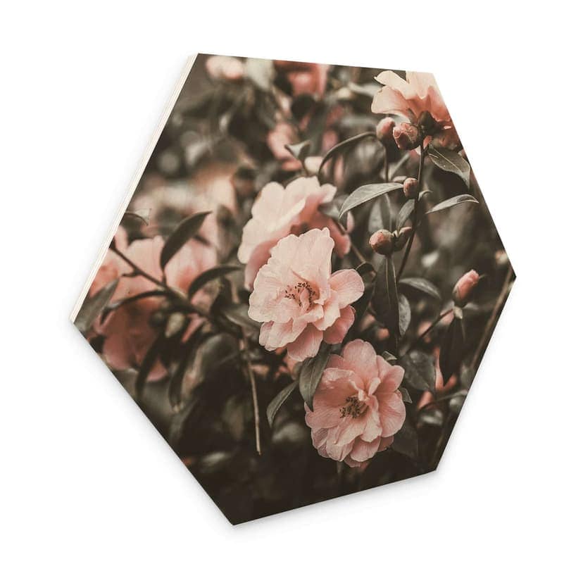 Esagoni in legno Annie - Rose