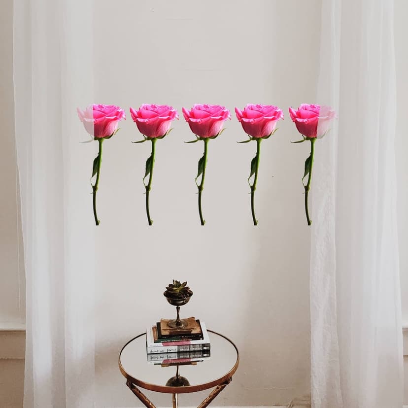 Adesivo murale - bordo decorativo rose
