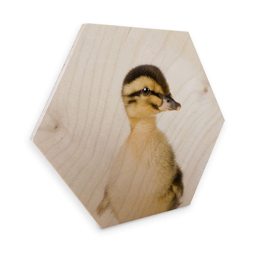 Esagoni in legno Sisi & Seb - Anatroccolo