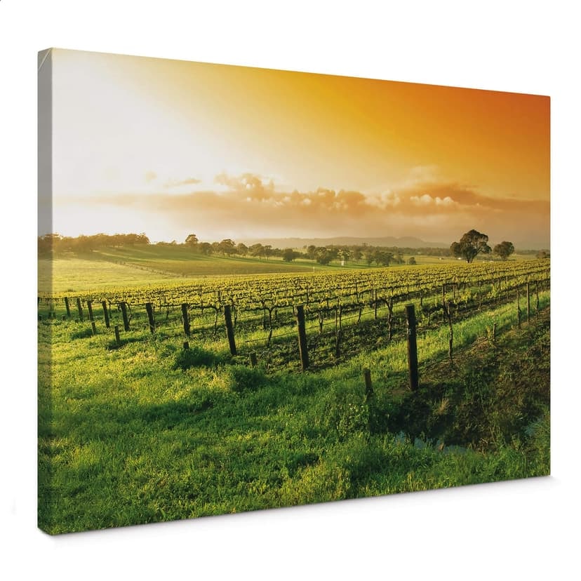 Vino al tramonto