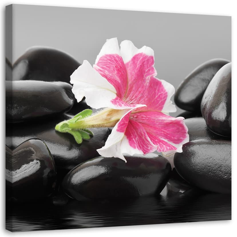 Stampe su tela, Fiore rosa su pietre