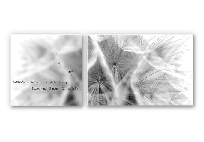 Stampa su Forex - Some see a weed... (2 parti)