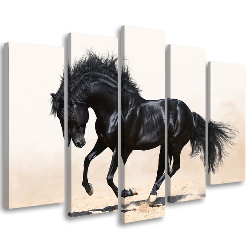 Stampa su tela 5 pezzi, cavallo nero al galoppo