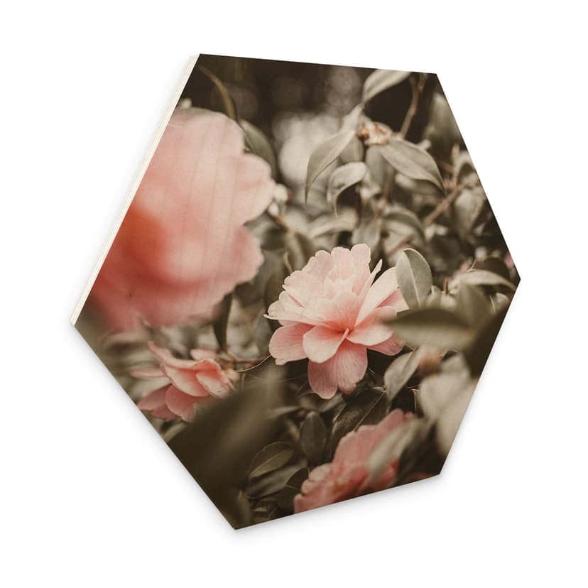 Esagono in legno Annie - Rose