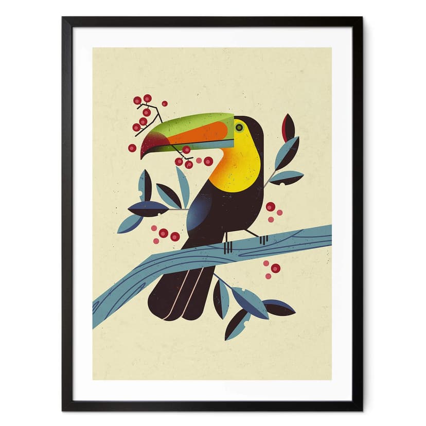 Poster Braun - Tucano