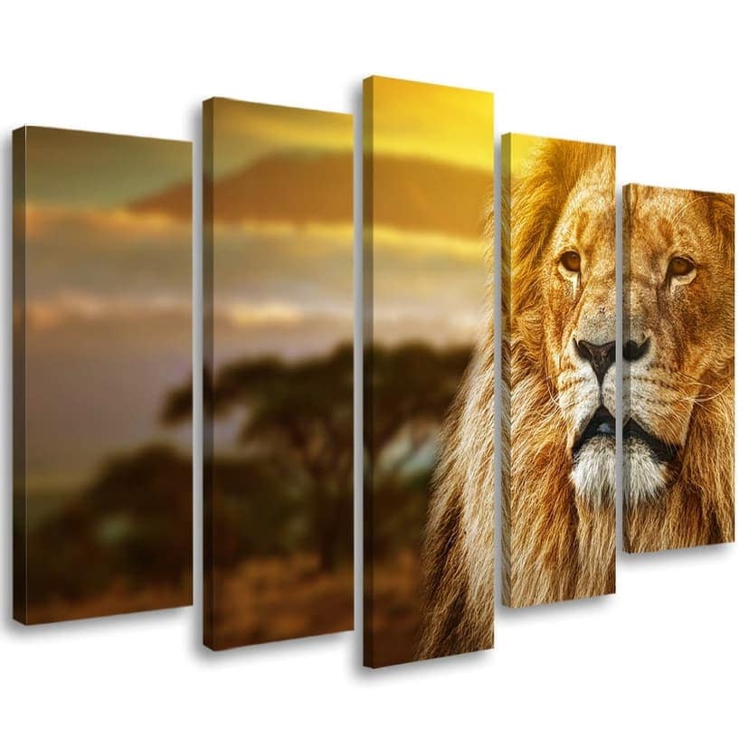 Stampa su tela 5 pezzi, Leone Africa Savannah Paesaggio