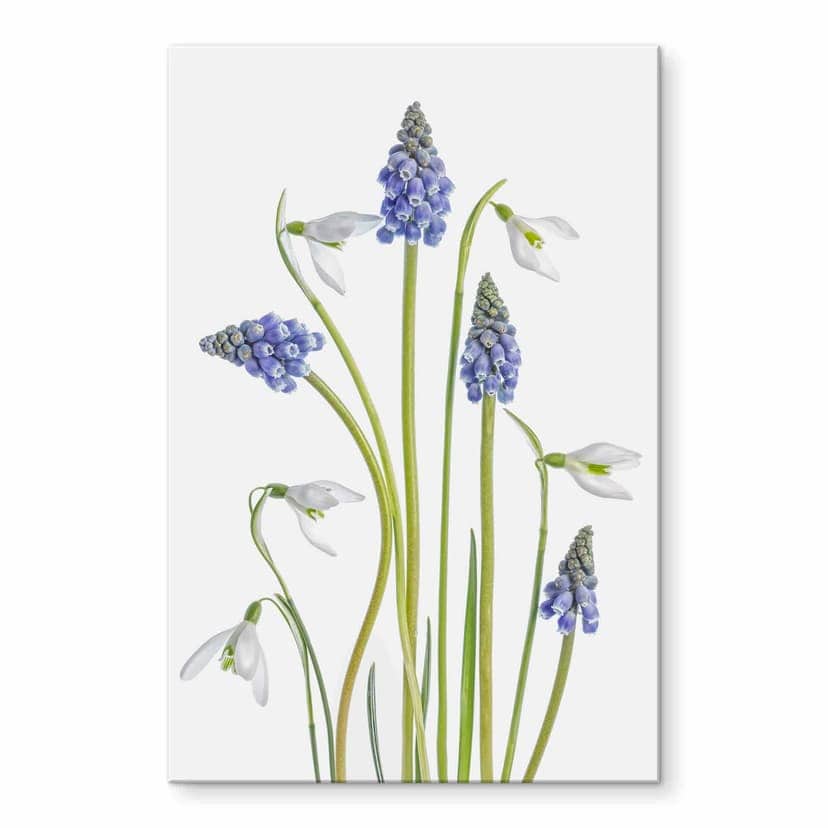 Stampa su vetro acrilico Disher - Fiori di primavera