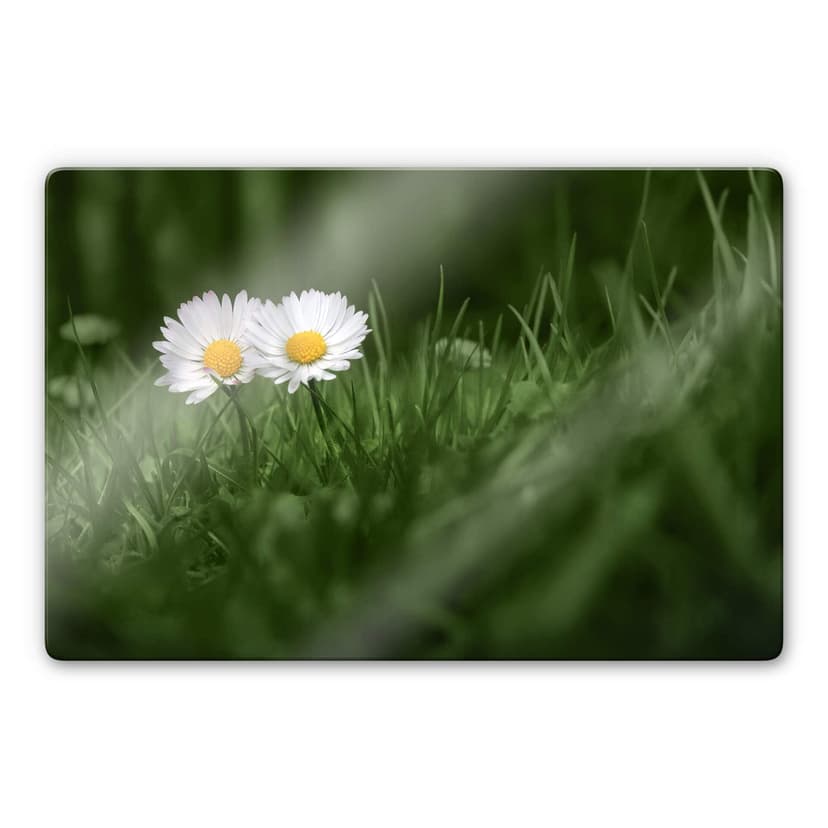 Glasbild Ben Heine - Zwei Gänseblümchen