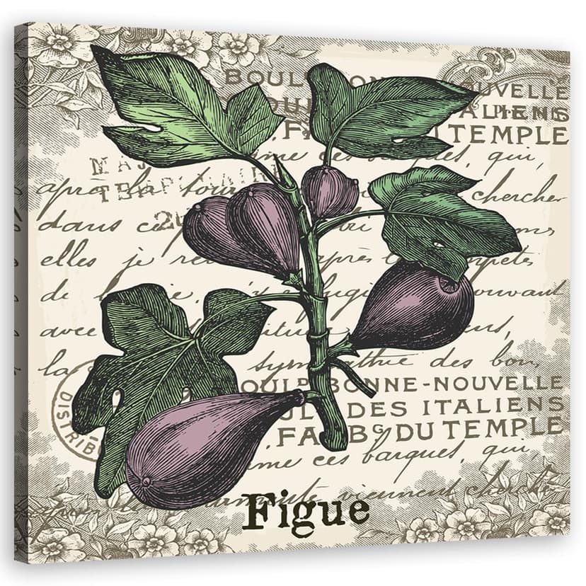 Stampe su tela, fichi d'annata