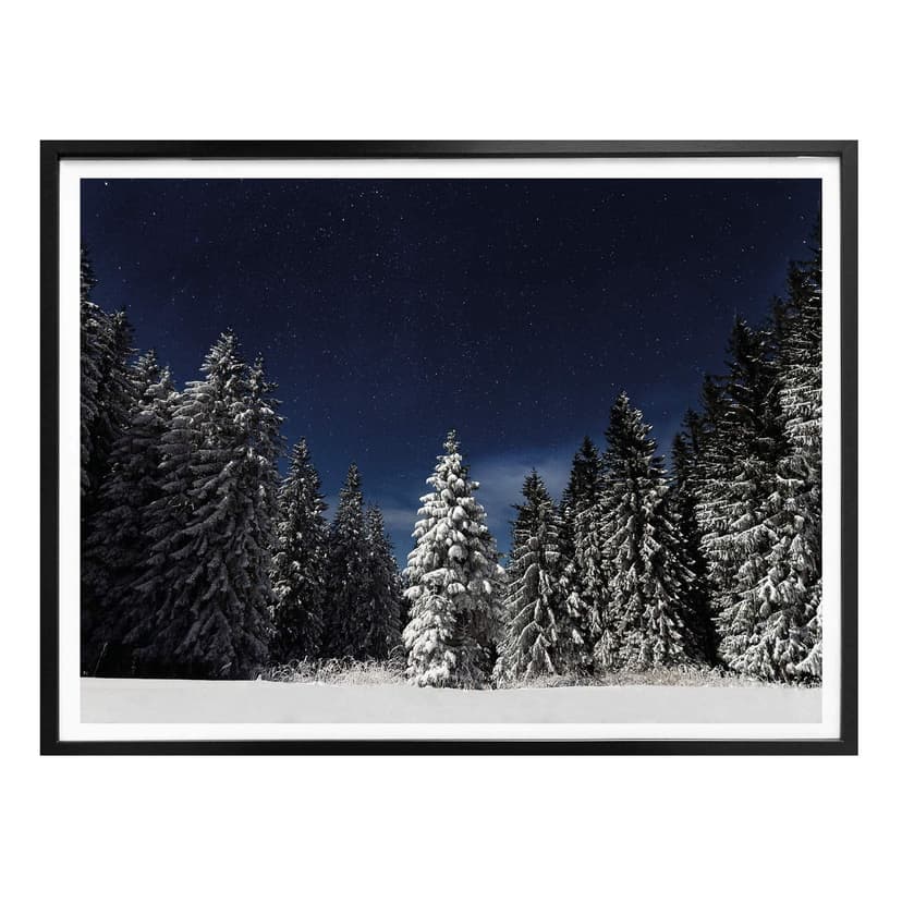 Poster - Foresta invernale