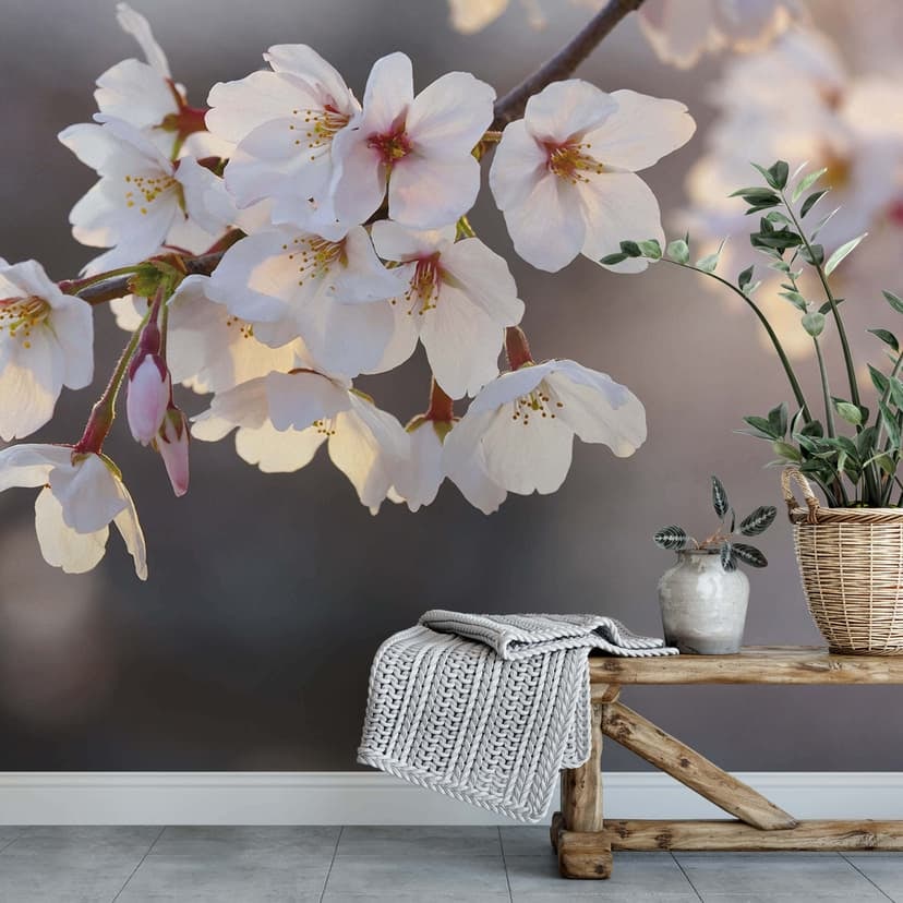 Fotomurale Ramo di fiori di ciliegio