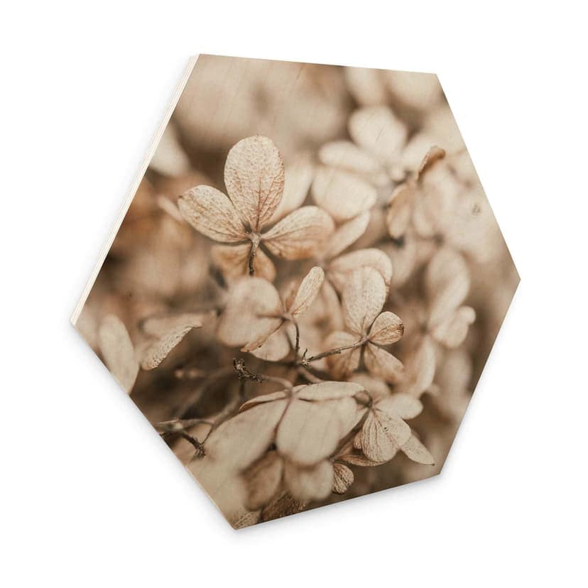 Esagoni in legno Annie - Fiori di velluto