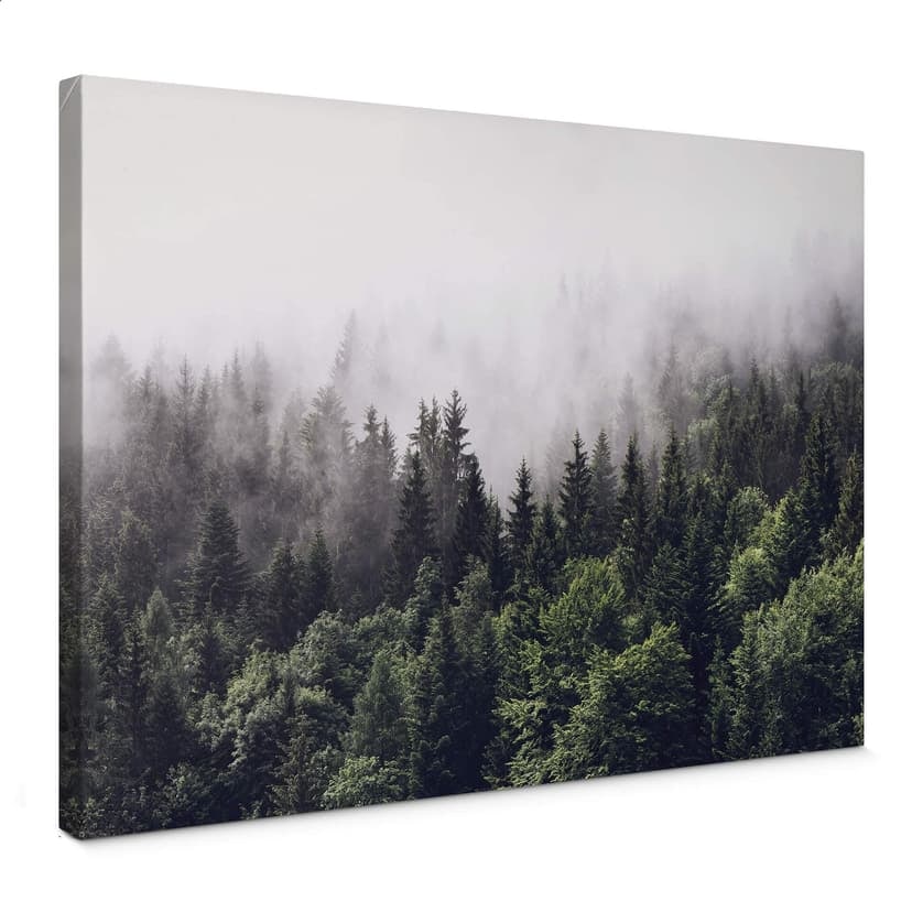 Stampa su tela - Nebbia