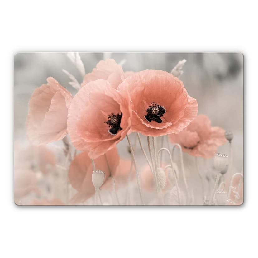 Glasbild Delgado - Mohn in Pastell