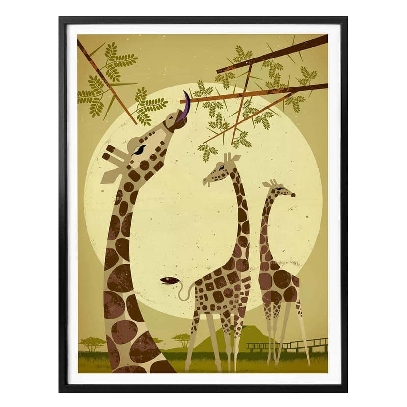Poster Braun - Giraffe