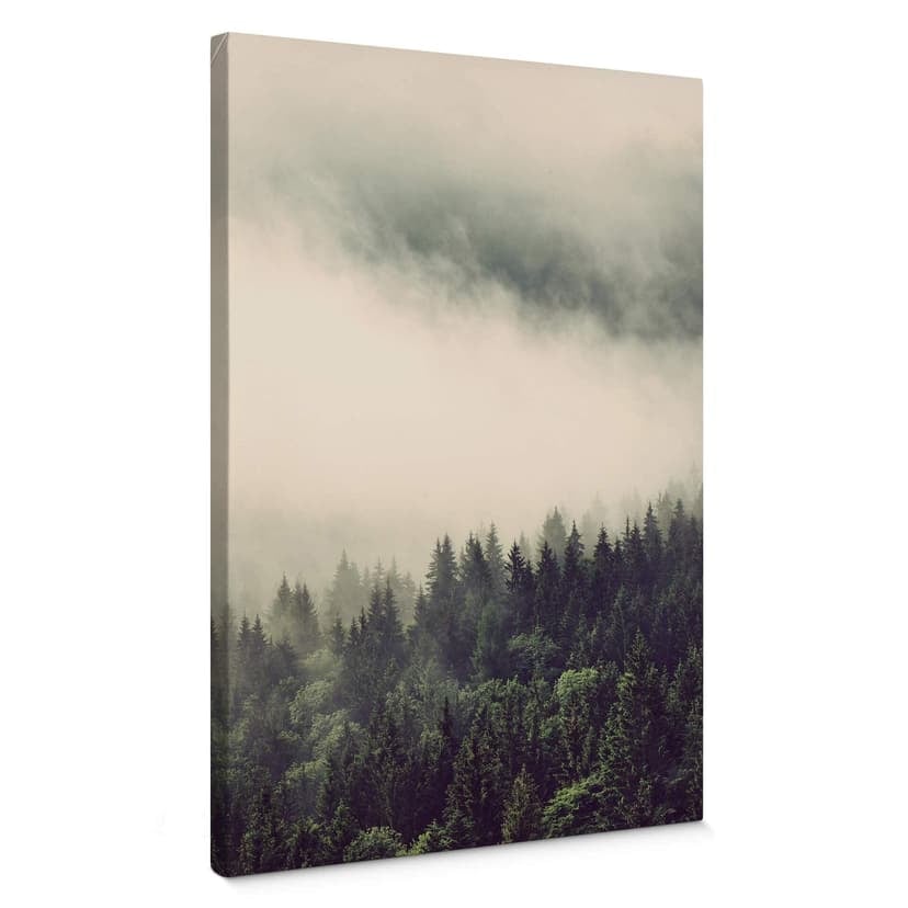 Stampa su tela - Foresta 02
