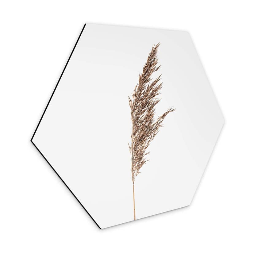 Esagoni Alu-dibond Erba ornamentale No. 1