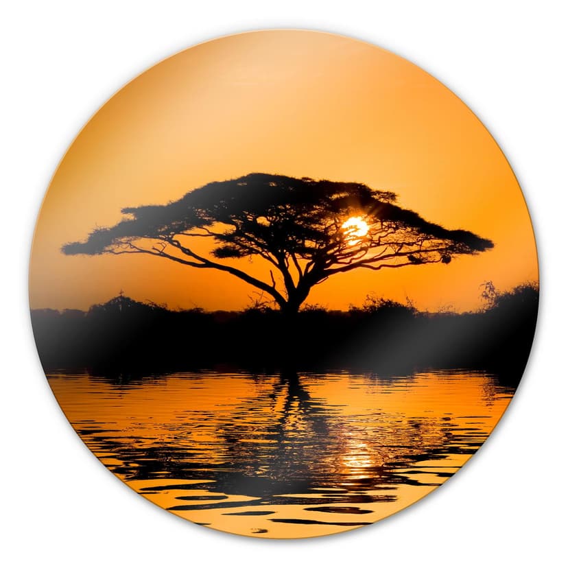 Africa - tondo
