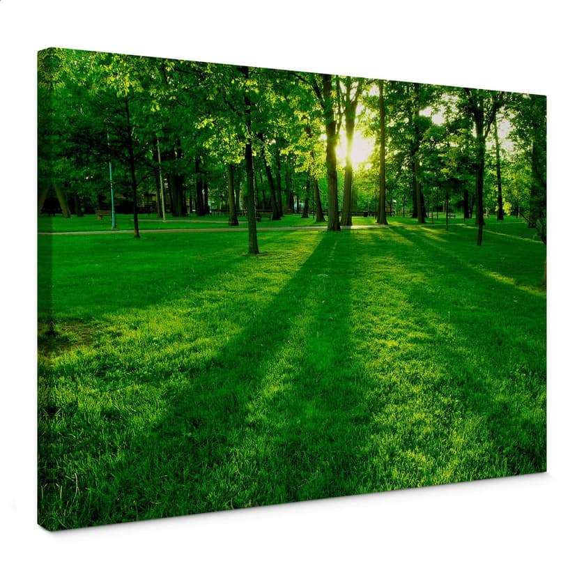 Parco verdeggiante