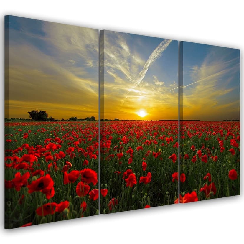 Stampa su tela 3 pezzi, Campo di papaveri al tramonto