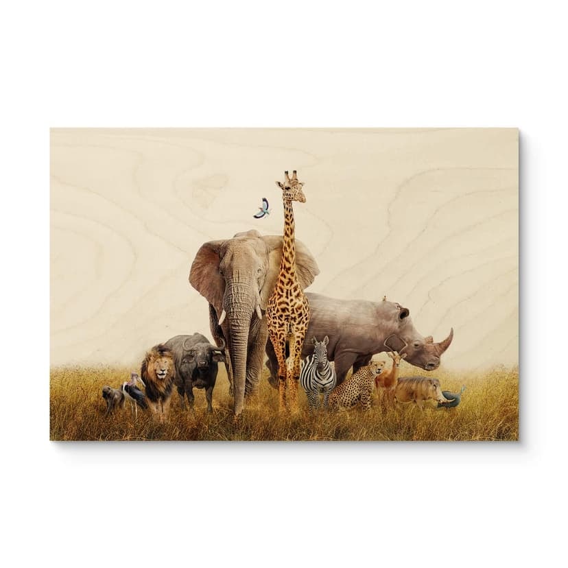 Animali africani Stampa su legno
