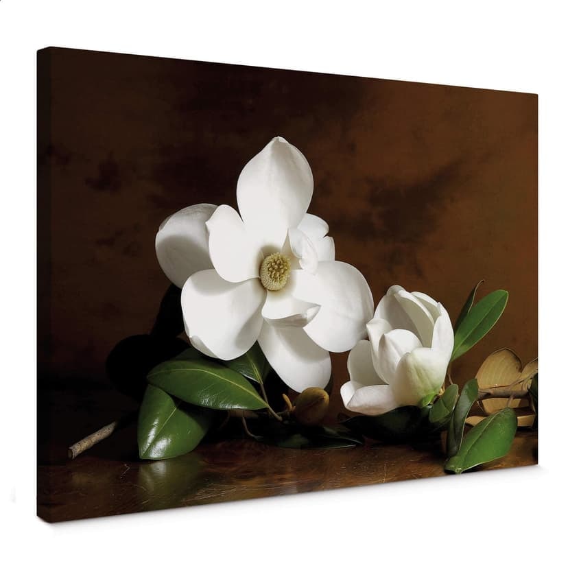 Ramo di magnolia con fiori