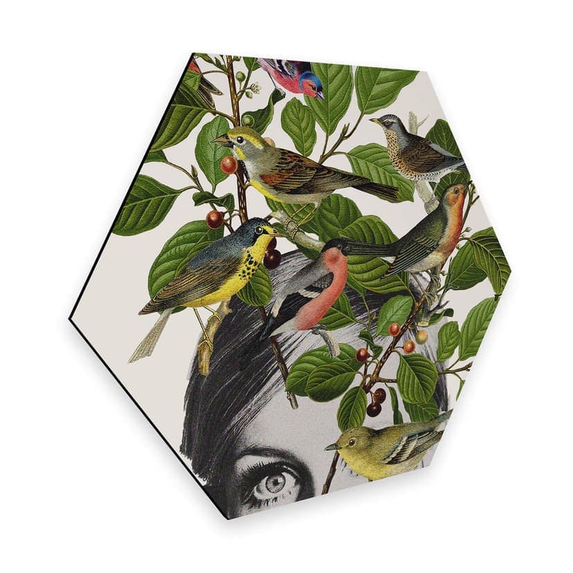 Esagoni Alu-dibond Frida Floral Studio - Twiggy Eye