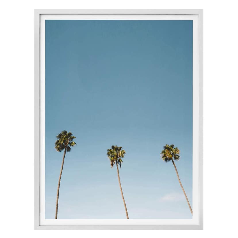 Poster - Palme 02