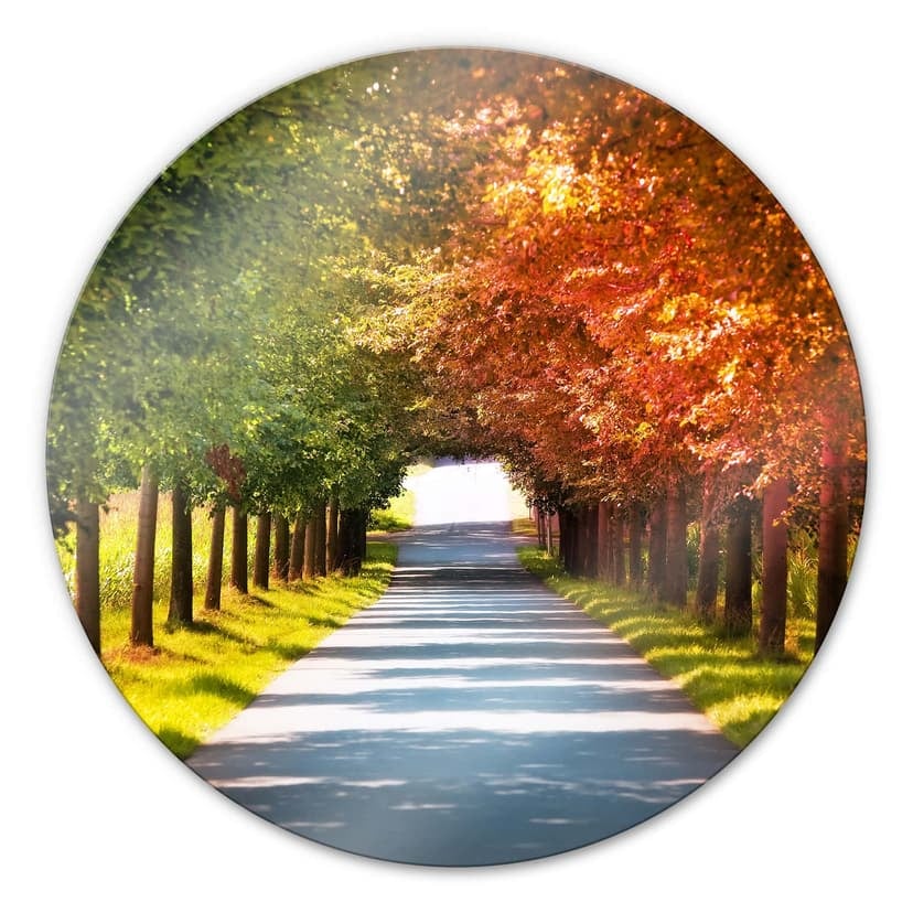 Autunno - tondo
