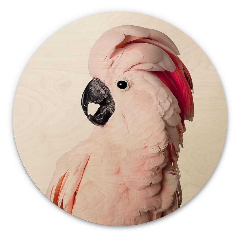 Stampa su legno Sisi & Seb - Cacatua rosa - Rotondo