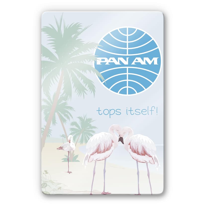 Glasbild PAN AM - Flamingobucht