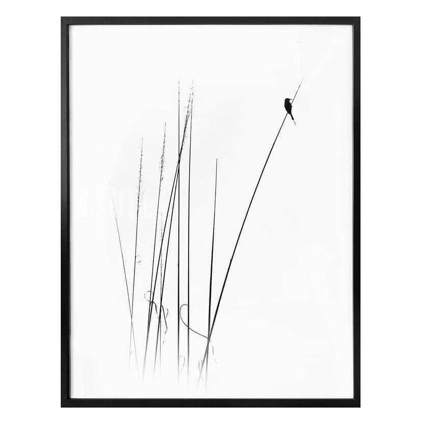 Poster Swapnil - Time out