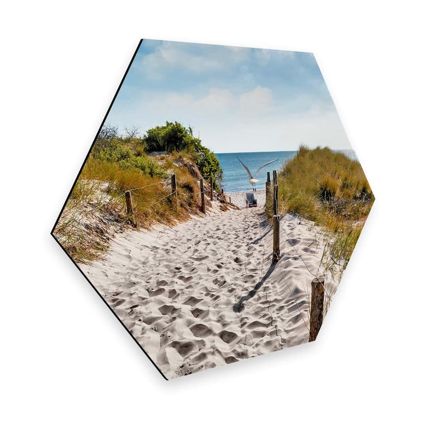 Esagoni Alu-Dibond - Way to the Beach
