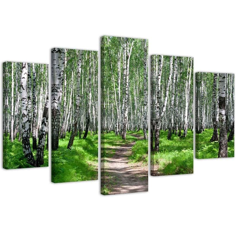 Stampa su tela 5 pezzi, foresta di betulle natura