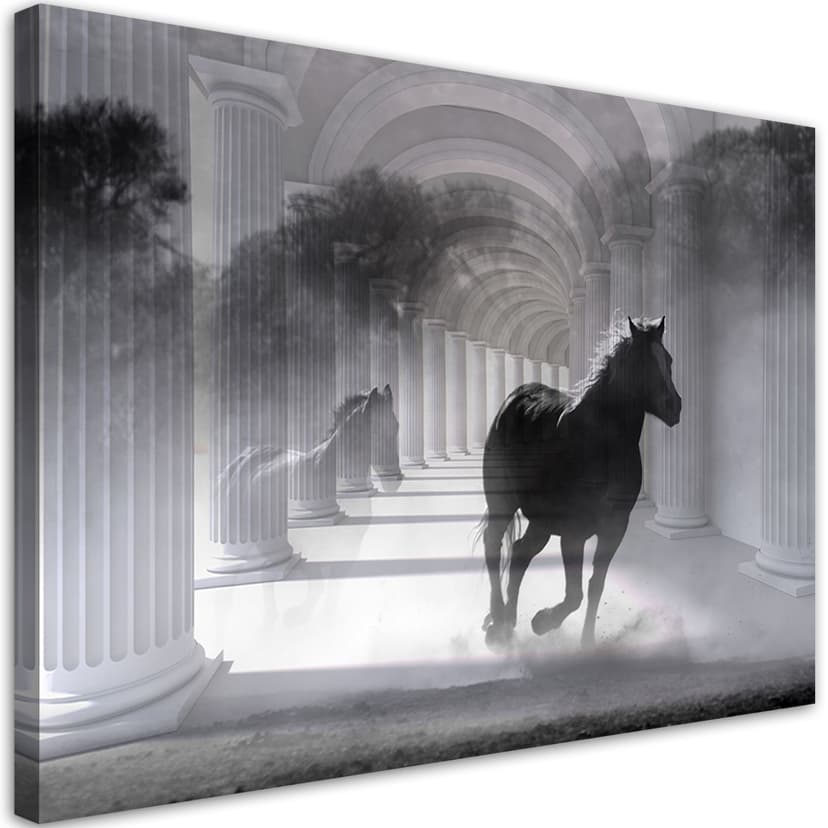 Stampe su tela, Cavallo al galoppo in tunnel 3D
