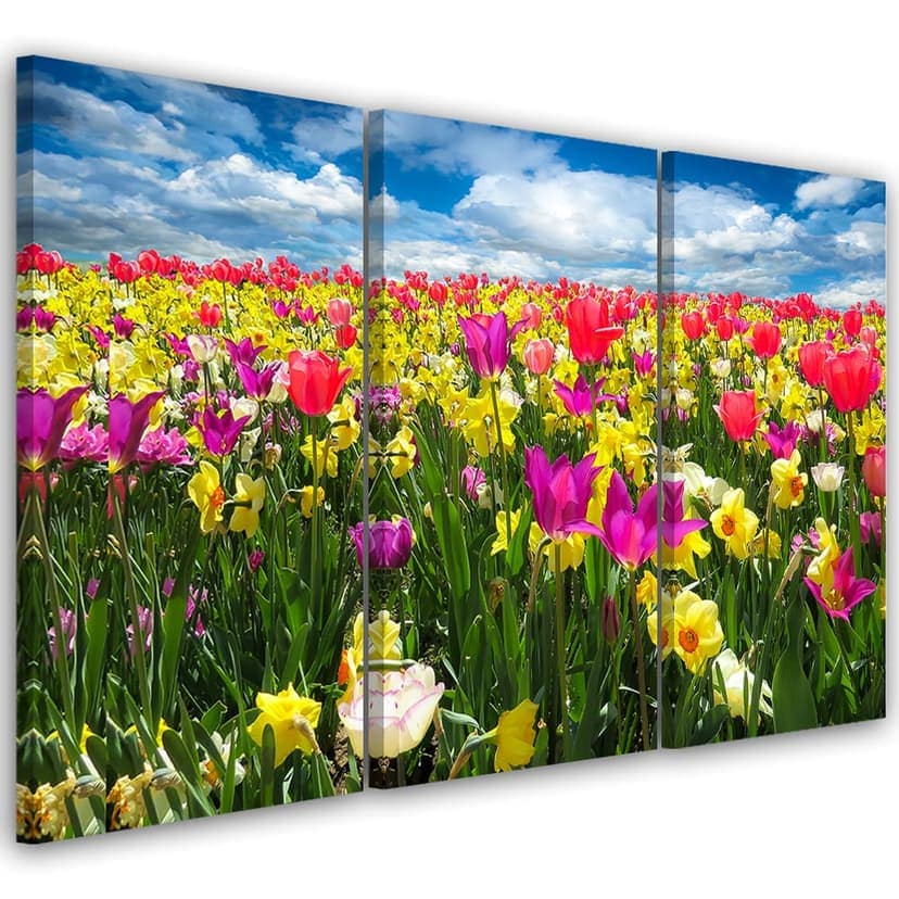Stampa su tela 3 pezzi Tulipani colorati Fiori Natura