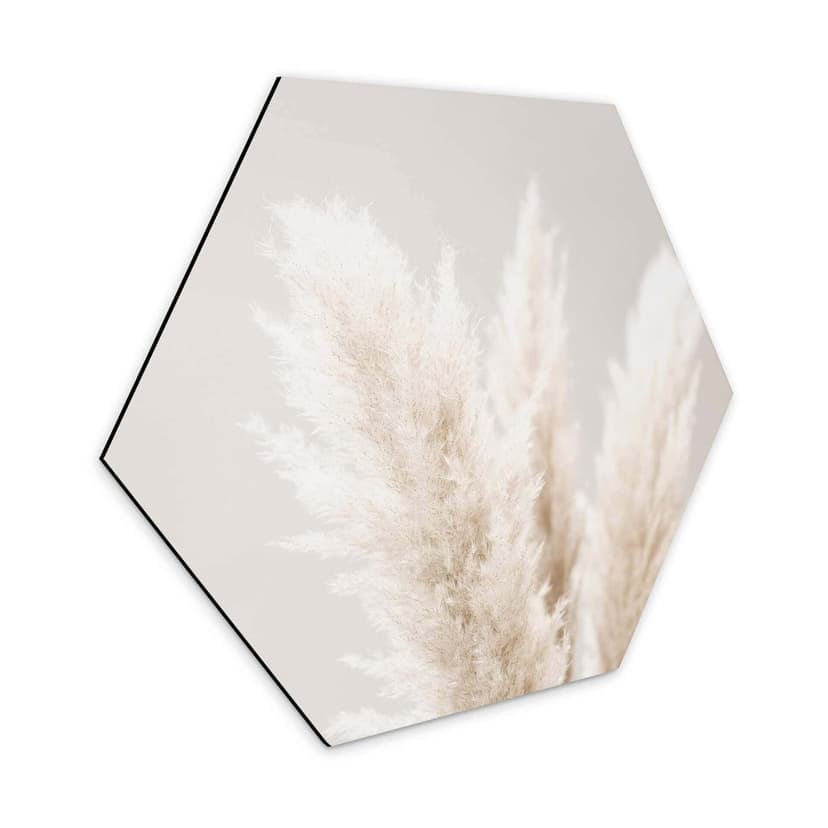 Esagoni Alu-dibond 1X Studio - Pampas grass