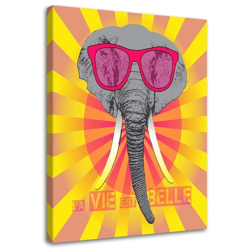 Stampe su tela, Elefante con occhiali