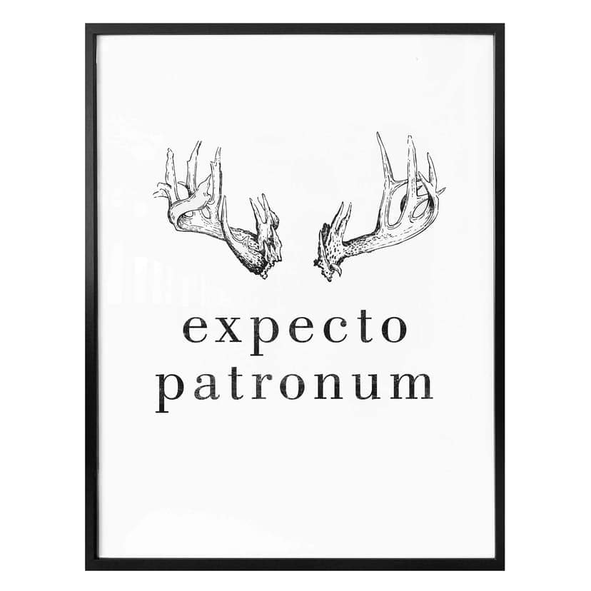 Poster – Expecto Patronum