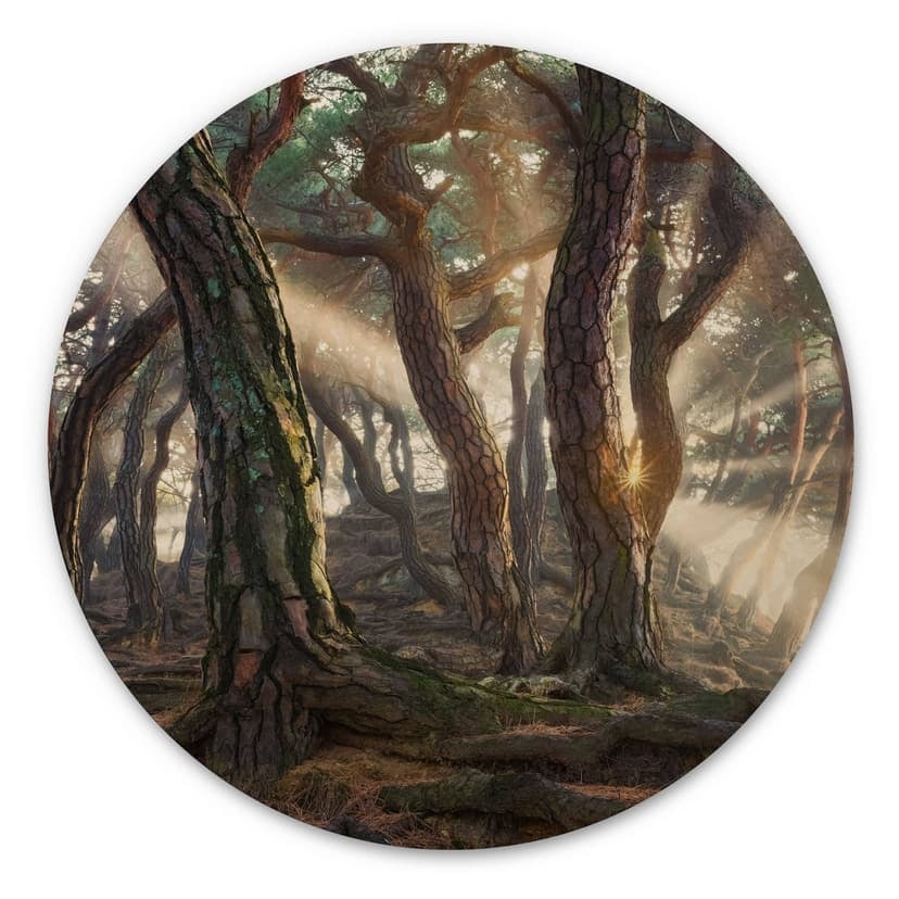 Stampa su legno Pineta Sacra - Ryu - Rotonda