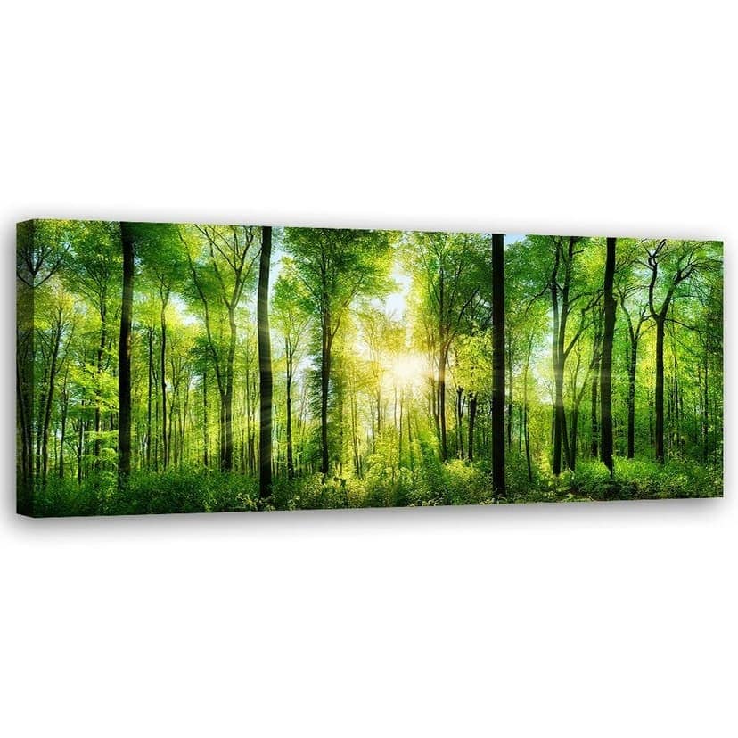 Stampe su tela, Tramonto in un paesaggio forestale